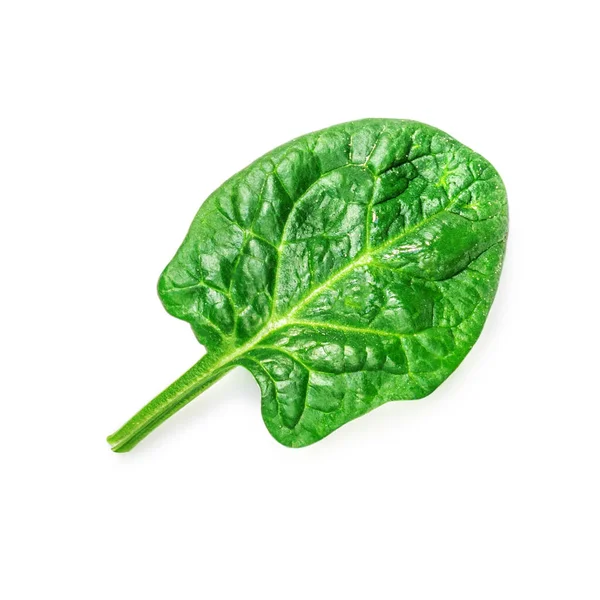 Beyaz arka planda ıspanak yaprakları izole. Taze ıspanak kapanışı. Üst Manzara. Düz yatıyordu