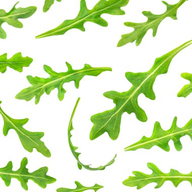 Beyaz arka planda yalıtılmış roka yaprağı, taze yeşil roka yaprakları koleksiyon üst görünümü. Patter