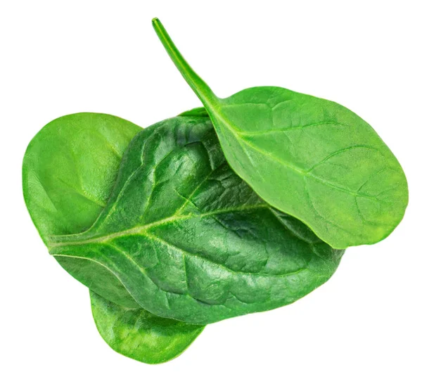 Spinach Leaves Isolated White Background Fresh Spinach Closeup Top View — Stock Photo, Image