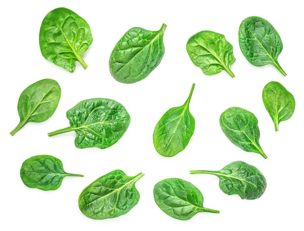Spinach Collection Fresh Spinach Baby Leaves Isolated White Background Top — Stock Photo, Image
