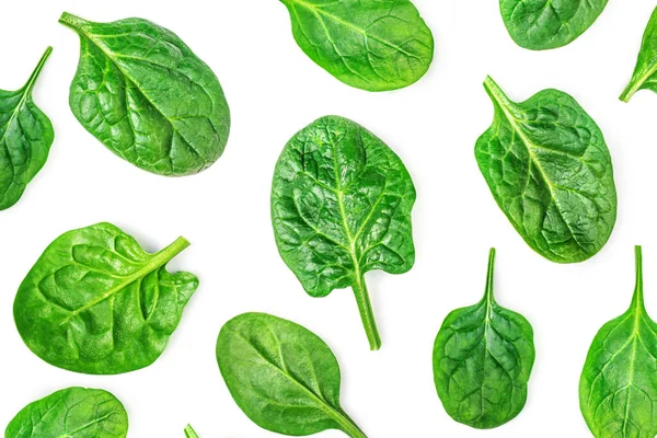 Spinach Pattern Fresh Spinach Baby Leaves Isolated White Background Top — Stock Photo, Image