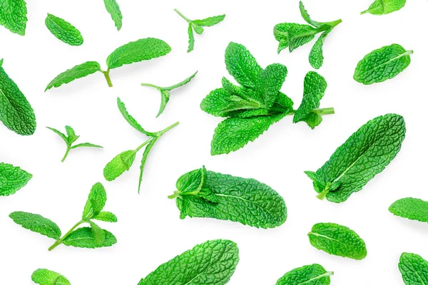 Fresh Mint Leaves Pattern Isolated White Background Top View Close — Stock Photo, Image