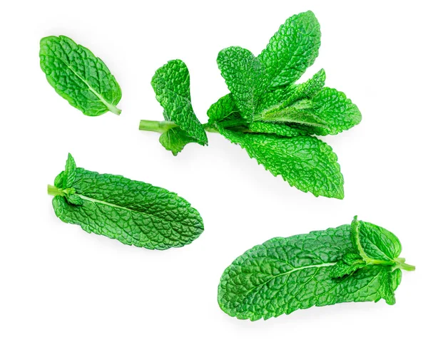 Verse Groene Muntblaadjes Die Lucht Vallen Close Van Pepermuntbladeren Geïsoleerd — Stockfoto