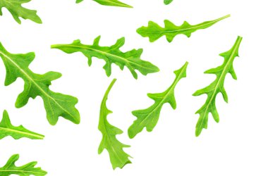 Set of Green rucola leaves isolated on white background. Fresh arugula collection. Patter