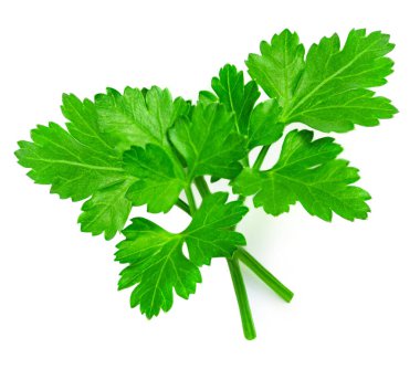 Parsley herb isolated on white background. Parsley leaf top view, flat la