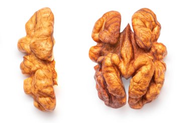 Walnut Isolated. Walnut kernel Nut  on white background. Top view. Flat lay. Collectio