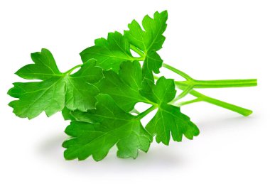 Parsley leaf isolated on white background. Fresh green organic parsley herb top view, flat lay
