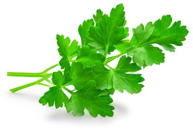 Parsley leaf isolated on white background. Fresh green organic parsley herb top view, flat lay