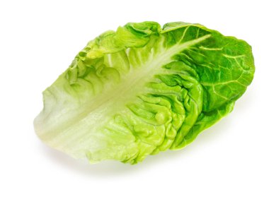 Salad leaf. Lettuce leaves isolated on white background. Batavia salad top view