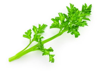 Parsley isolated on white background. Fresh green vegan parsley herb leaf top view, flat la