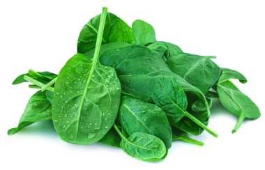 Spinach leaves isolated on white background. Fresh baby Spinatch with water drops close up