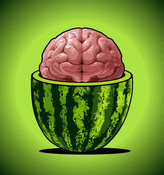 Vattenmelon Fyller Den Mänskliga Hjärnan — Stock vektor