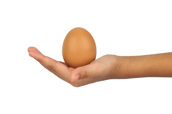 Hand holding eggs — Stock Photo, Image