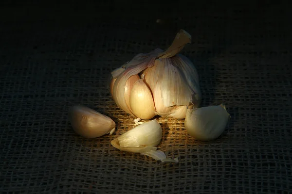 大蒜 — 图库照片