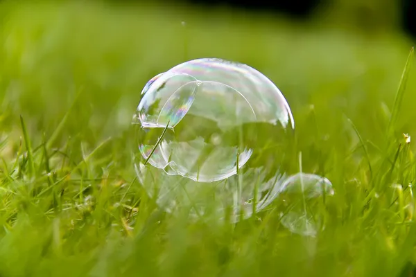 Macro Soap bubble in the meadow — Stock Photo, Image