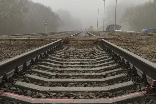 The crossing — Stock Photo, Image