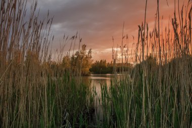 Kurutulmuş sazlık Gölü