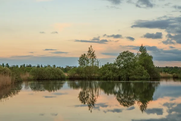 Pink sky — Stock Photo, Image