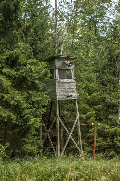 Őrtorony-erdő — Stock Fotó