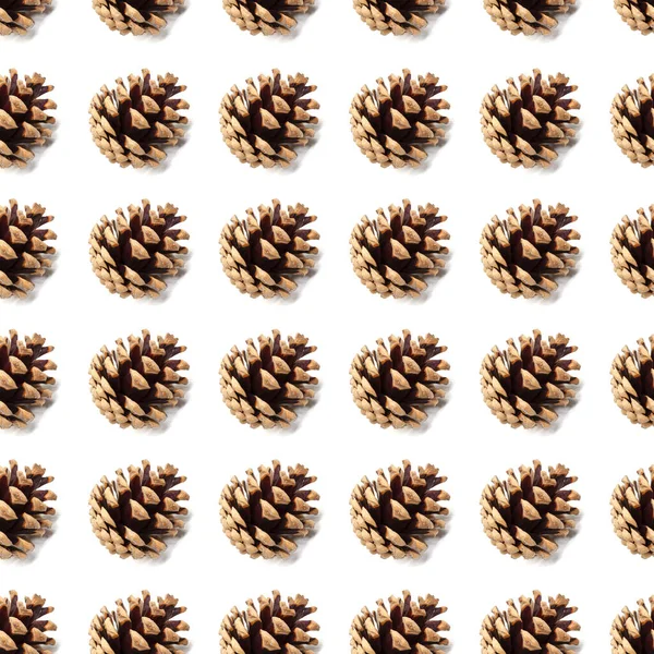 Çam koni seamless modeli