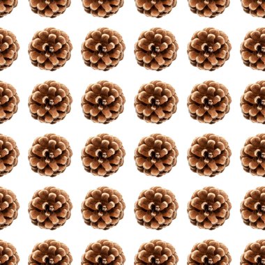 Çam koni seamless modeli