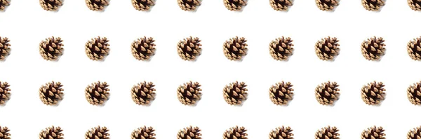 파인 콘 원활한 패턴 — 스톡 사진