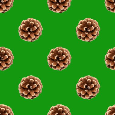 Yeşil arka planda izole edilmiş kuru çam kozalağı deseni. Noel ve yeni yılın sembolü. Sonbahar ve kış mevsimi konsepti. Tasarım ögesi