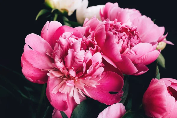 pembe ve beyaz peonies buket