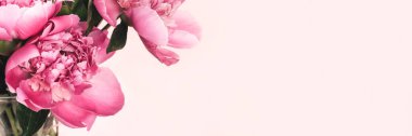 Pembe arka planda fotokopi alanı olan bir buket pembe şakayık. Çiçeksel geniş panoramik pankart tasarımı. Seçici odak