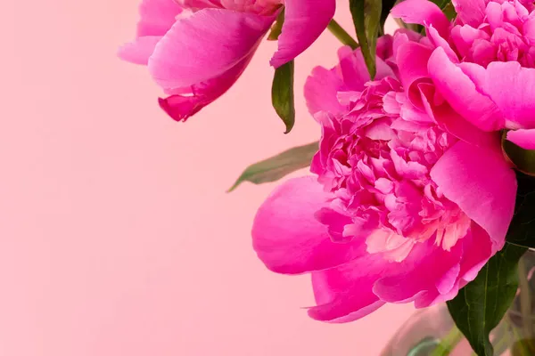 Strauß Rosa Pfingstrosen Auf Rosa Hintergrund Mit Kopierraum Florales Kartendesign — Stockfoto