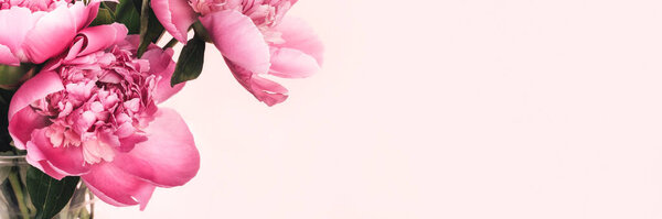 Bouquet of pink peonies on pink background with copy space. Floral wide panoramic banner design. Selective focus