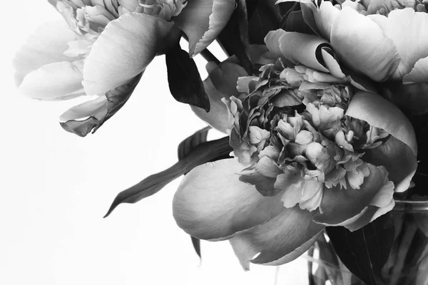 Hermoso Ramo Exuberante Peonías Foto Blanco Negro Tarjeta Floral Diseño — Foto de Stock