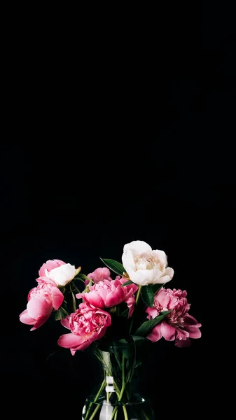 Bouquet Peonie Rosa Bianche Vaso Vetro Sfondo Nero Con Banner — Foto Stock