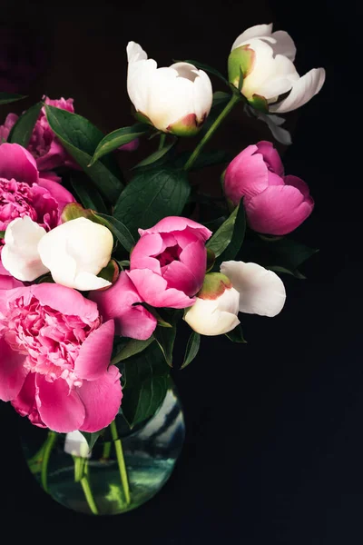 Buquê de peônias rosa e branco — Fotografia de Stock