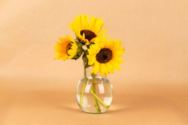 Cam vazoda bir buket sarı ayçiçeği