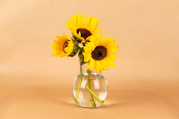 Bouquet of yellow sunflowers in a glass vase