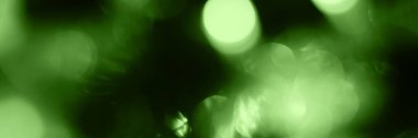 Blurred lights, green background, banner texture. Abstract bokeh with soft light header. Wide screen wallpaper. Panoramic web banner with copy space for design