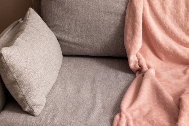 Cozy gray textile sofa with pink plaid