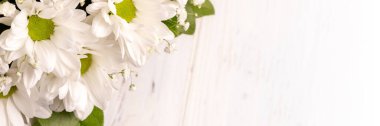 Bouquet of white chamomile chrysanthemums on white background banner with copy space. Wide panoramic header. Gift flowers basket for the holiday