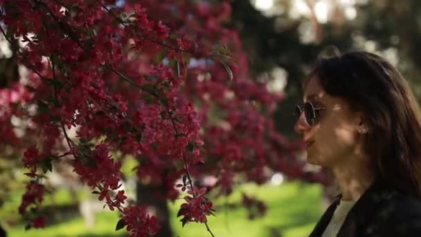 Hermosa chica caucásica vestida con gafas negras oliendo una flor en un árbol — Vídeo de stock