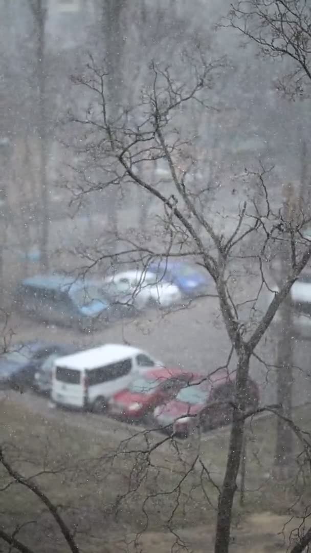 Snowfall no fundo borrado close-up, câmera lenta vídeo vertical — Vídeo de Stock