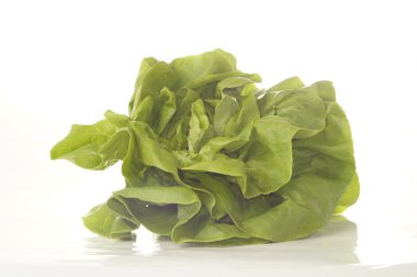 Beyaz arkaplanda marul