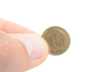 Polonya para birimi paraları