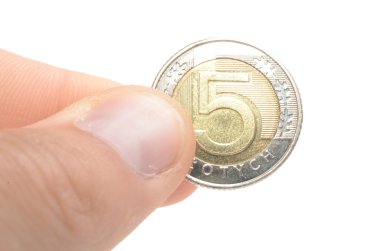 Polonya para birimi paraları