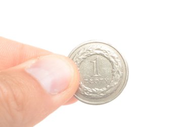 Polonya para birimi paraları