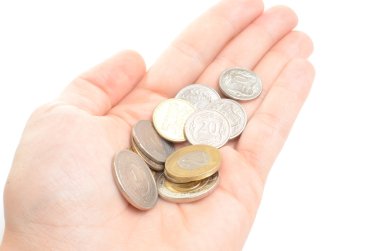 Polonya para birimi paraları