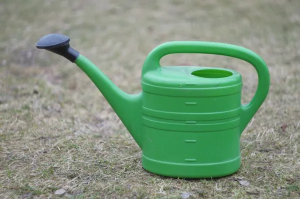 bitkilerin sulanması gerekiyor.