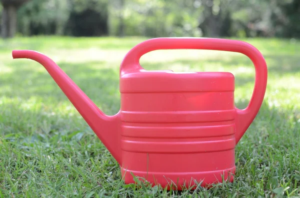 Bahçedeki çiçekleri sulamak