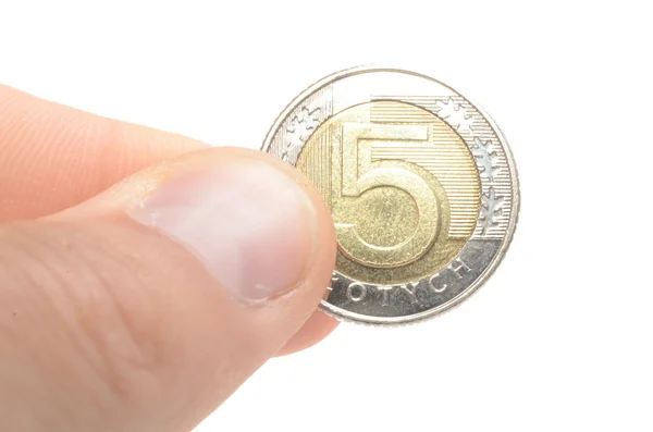 Polonya para birimi paraları