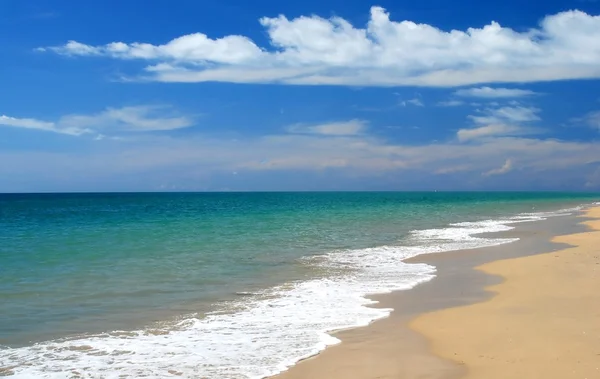 tropikal Karayipler kumsalda badana